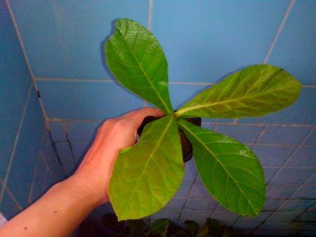 ???????????????????????????????