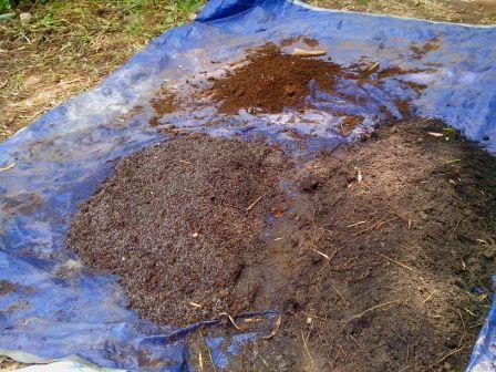 ???????????????????????????????