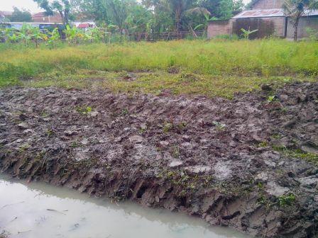 ???????????????????????????????